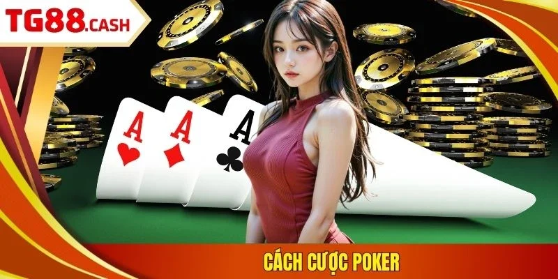 Cách cược poker